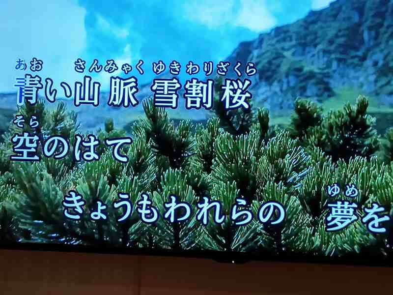 画像を挿入してください